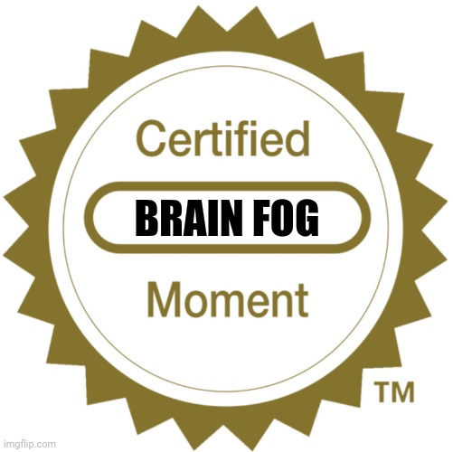 Certified Moment | BRAIN FOG | image tagged in certified moment | made w/ Imgflip meme maker