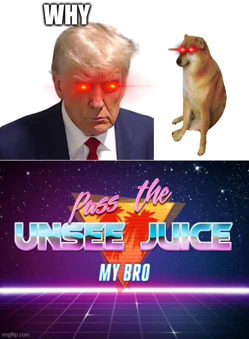 Pass the unsee juice my bro | WHY | image tagged in pass the unsee juice my bro | made w/ Imgflip meme maker