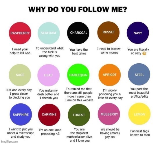 Why do you follow me? | image tagged in why do you follow me | made w/ Imgflip meme maker