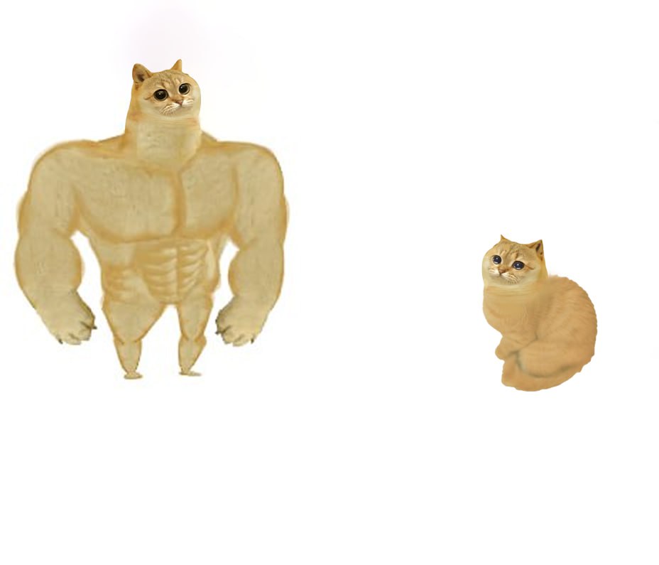 High Quality Buff Cat Vs Small Cat Blank Meme Template