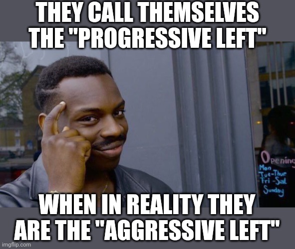 2024 | THEY CALL THEMSELVES THE "PROGRESSIVE LEFT"; WHEN IN REALITY THEY ARE THE "AGGRESSIVE LEFT" | image tagged in memes,roll safe think about it | made w/ Imgflip meme maker