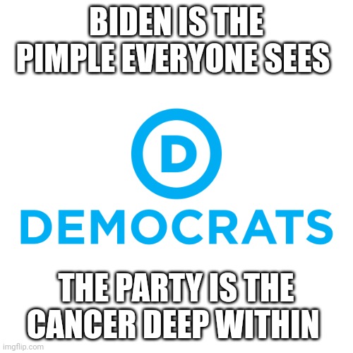 Socialist street | BIDEN IS THE PIMPLE EVERYONE SEES; THE PARTY IS THE CANCER DEEP WITHIN | image tagged in democrats | made w/ Imgflip meme maker