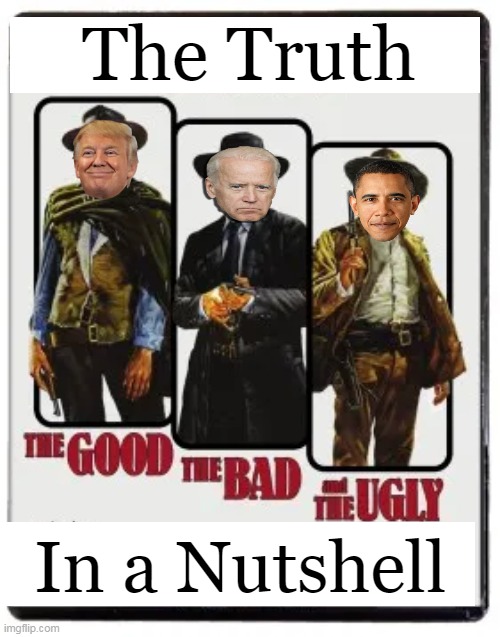 I Proudly Choose Good Over Evil | The Truth; In a Nutshell | image tagged in politics,america,the truth,donald trump,joe biden,barack obama | made w/ Imgflip meme maker