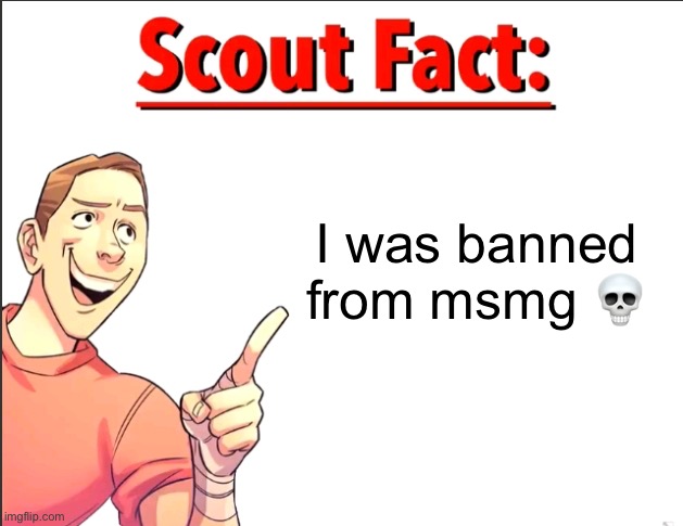 Scout Fact | I was banned from msmg 💀 | image tagged in scout fact | made w/ Imgflip meme maker