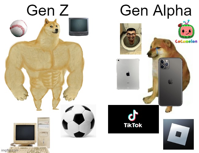 Ive put a lot of work into this, so upvote if you like it, your choice | Gen Z; Gen Alpha | image tagged in memes,buff doge vs cheems | made w/ Imgflip meme maker
