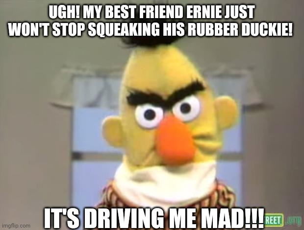 The noises of Ernie's Rubber Duckie has been driving Bert mad! | UGH! MY BEST FRIEND ERNIE JUST WON'T STOP SQUEAKING HIS RUBBER DUCKIE! IT'S DRIVING ME MAD!!! | image tagged in sesame street - angry bert | made w/ Imgflip meme maker