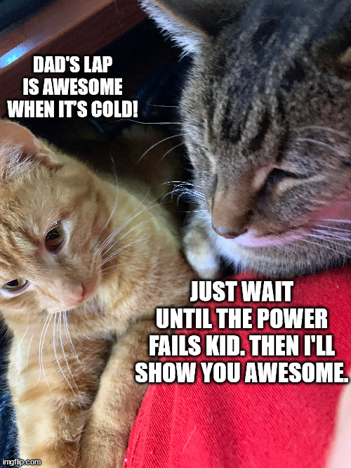 Dad's Lap | DAD'S LAP IS AWESOME WHEN IT’S COLD! JUST WAIT UNTIL THE POWER FAILS KID. THEN I'LL SHOW YOU AWESOME. | image tagged in cats,winter2024 | made w/ Imgflip meme maker