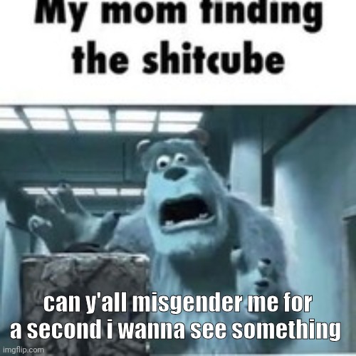 my mom finding the shitcube | can y'all misgender me for a second i wanna see something | image tagged in my mom finding the shitcube | made w/ Imgflip meme maker