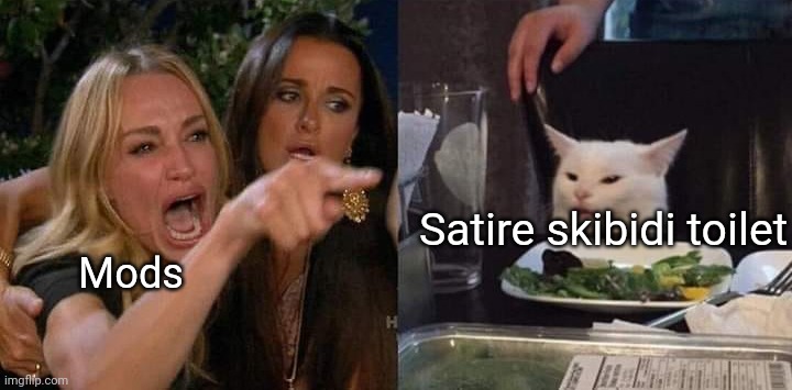 NH but can someone please explain to me how skibidi toilet is 'distressing'? | Satire skibidi toilet; Mods | image tagged in crying lady and confused cat | made w/ Imgflip meme maker