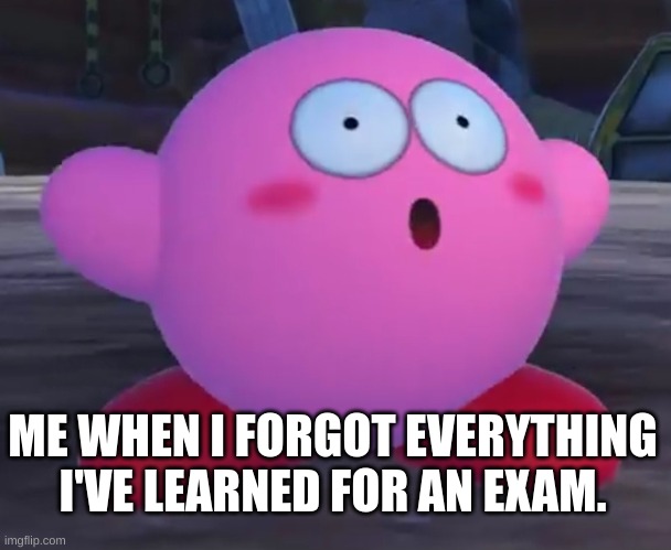 Socked kirby | ME WHEN I FORGOT EVERYTHING I'VE LEARNED FOR AN EXAM. | image tagged in shocked | made w/ Imgflip meme maker