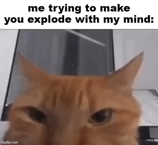 make them explode with my mind | me trying to make you explode with my mind: | image tagged in make them explode with my mind | made w/ Imgflip meme maker