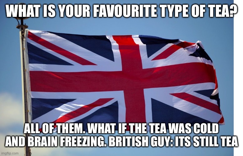 Hmm i think this bruv broken the breed of imaginations | WHAT IS YOUR FAVOURITE TYPE OF TEA? ALL OF THEM. WHAT IF THE TEA WAS COLD AND BRAIN FREEZING. BRITISH GUY: ITS STILL TEA | image tagged in british flag,spongeboi me bob | made w/ Imgflip meme maker