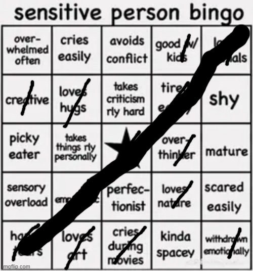 sensitive person bingo | image tagged in sensitive person bingo | made w/ Imgflip meme maker