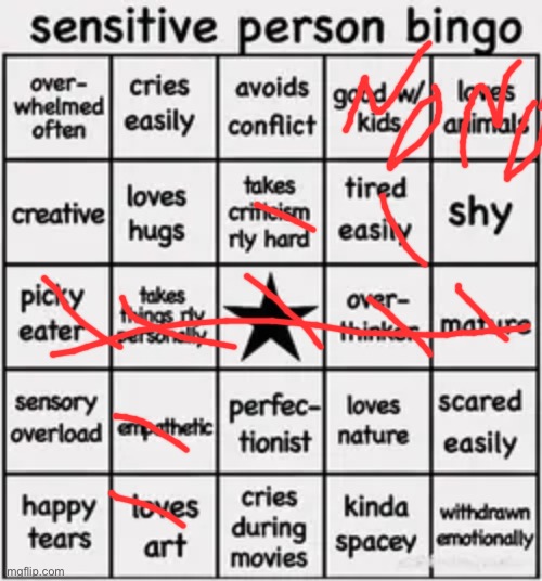 sensitive person bingo | image tagged in sensitive person bingo | made w/ Imgflip meme maker