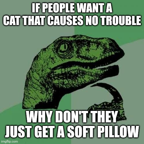 Philosoraptor Meme | IF PEOPLE WANT A CAT THAT CAUSES NO TROUBLE; WHY DON'T THEY JUST GET A SOFT PILLOW | image tagged in memes,philosoraptor,jurassic park,cats | made w/ Imgflip meme maker