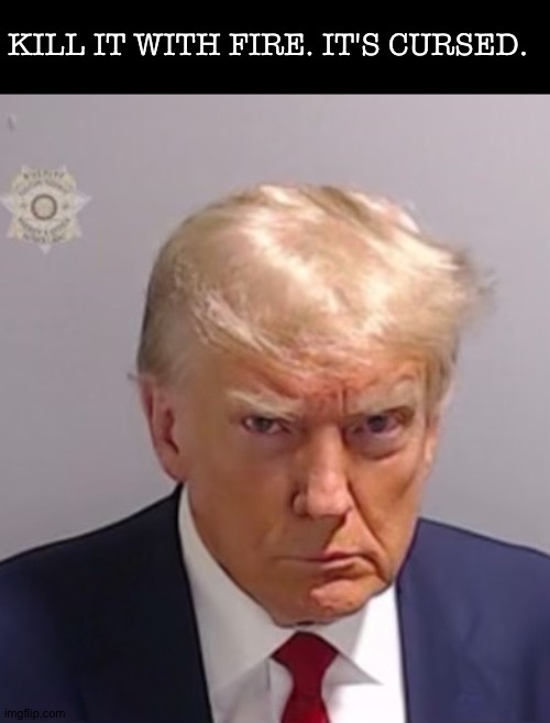 help he's scaring me im gonna have nightmares tonight. | KILL IT WITH FIRE. IT'S CURSED. | image tagged in donald trump mugshot | made w/ Imgflip meme maker