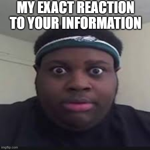 epd445-reaction-stare | MY EXACT REACTION
TO YOUR INFORMATION | image tagged in death stare | made w/ Imgflip meme maker