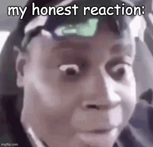epd445-reaction | my honest reaction: | image tagged in death stare,my honest reaction | made w/ Imgflip meme maker