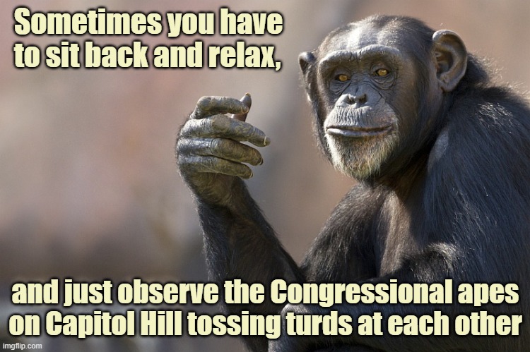 The Thoughtful Chimp | Sometimes you have to sit back and relax, and just observe the Congressional apes on Capitol Hill tossing turds at each other | image tagged in chimpanzee,apes,capitol hill,congress | made w/ Imgflip meme maker