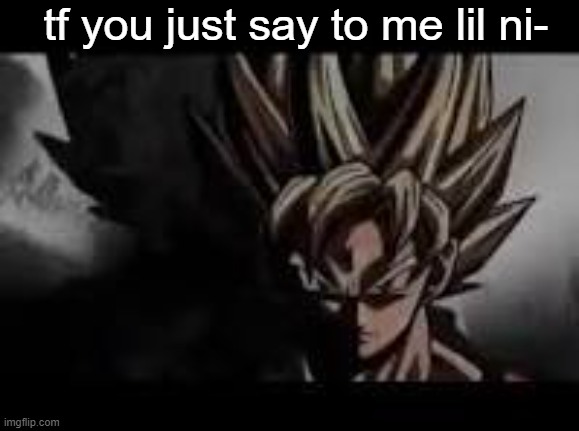 goku-prowler | tf you just say to me lil ni- | image tagged in serious,death stare | made w/ Imgflip meme maker