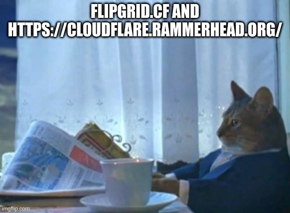 I Should Buy A Boat Cat Meme | FLIPGRID.CF AND HTTPS://CLOUDFLARE.RAMMERHEAD.ORG/ | image tagged in memes,i should buy a boat cat | made w/ Imgflip meme maker