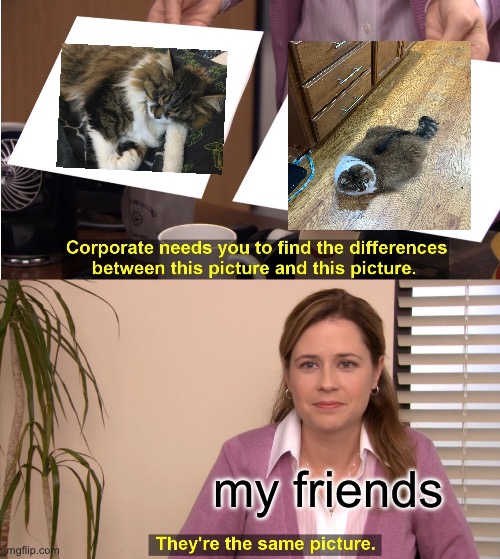 They're The Same Picture Meme | my friends | image tagged in memes,they're the same picture | made w/ Imgflip meme maker