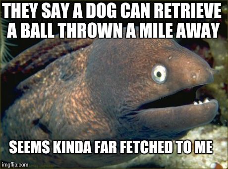 Bad Joke Eel Meme | THEY SAY A DOG CAN RETRIEVE A BALL THROWN A MILE AWAY SEEMS KINDA FAR FETCHED TO ME | image tagged in memes,bad joke eel,AdviceAnimals | made w/ Imgflip meme maker