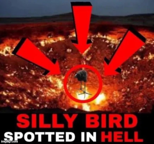 SILLY BIRD | made w/ Imgflip meme maker