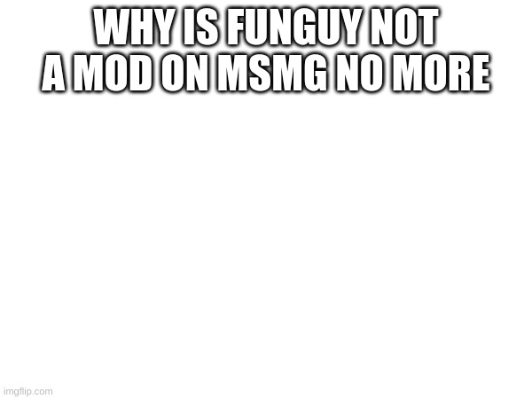 Why is funguy not a mod on here no more | WHY IS FUNGUY NOT A MOD ON MSMG NO MORE | image tagged in memes,lol,meme,funguy,ser donald p suttingsworth | made w/ Imgflip meme maker