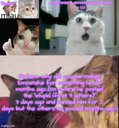 AmeTonian's announcement Temp v 1.2.1 | Andrew why did you permaban Emosnake for something he did months ago (I'm aware he posted the "stupid (first 3 letters)" 3 days ago and banned him for 2 days but the others he posted months ago) | image tagged in ametonian's announcement temp v 1 2 1 | made w/ Imgflip meme maker