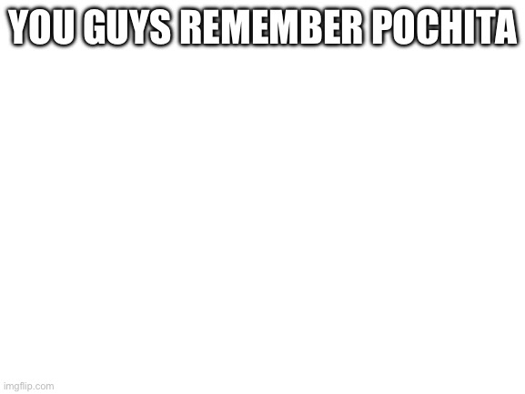 Blank White Template | YOU GUYS REMEMBER POCHITA | image tagged in blank white template | made w/ Imgflip meme maker