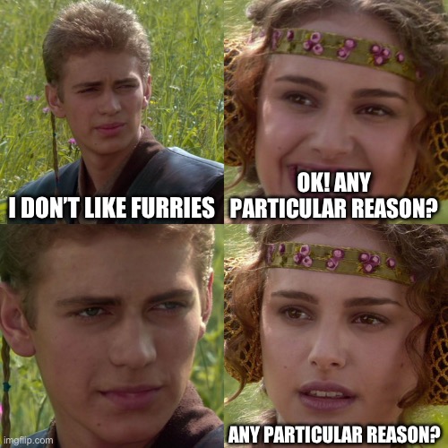 It’s ok if you don’t like but PLEASE have a reason other than “because” | I DON’T LIKE FURRIES; OK! ANY PARTICULAR REASON? ANY PARTICULAR REASON? | image tagged in anakin padme 4 panel,furries | made w/ Imgflip meme maker