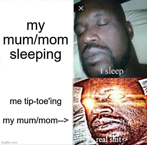Sleeping Shaq Meme | my mum/mom sleeping; me tip-toe'ing
  
my mum/mom--> | image tagged in memes,sleeping shaq | made w/ Imgflip meme maker