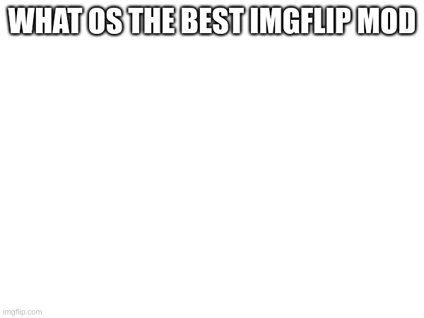 Who is the te best imgflip mod | WHAT OS THE BEST IMGFLIP MOD | image tagged in memes,lol,mm,m,ml,l | made w/ Imgflip meme maker