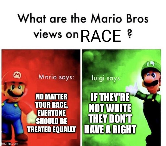 Every single post in this stream in a nutshell | RACE; NO MATTER YOUR RACE, EVERYONE SHOULD BE TREATED EQUALLY; IF THEY'RE NOT WHITE THEY DON'T HAVE A RIGHT | image tagged in mario bros views | made w/ Imgflip meme maker