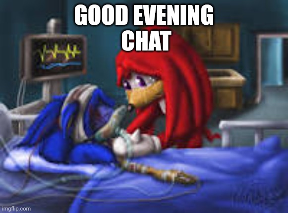 sonic i told you | GOOD EVENING
 CHAT | image tagged in sonic i told you | made w/ Imgflip meme maker