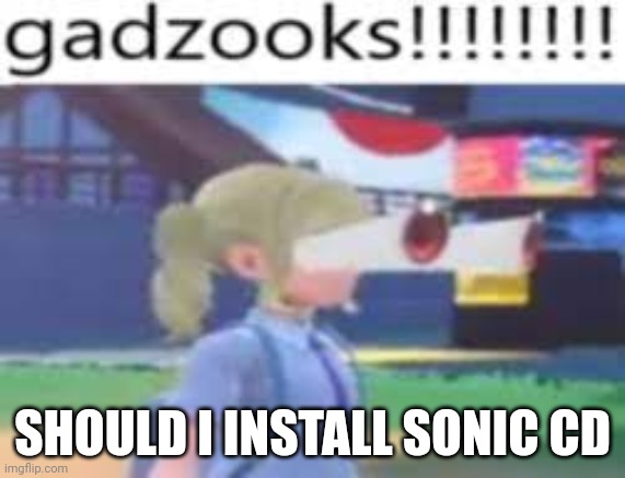gazooks!!!!!! | SHOULD I INSTALL SONIC CD | image tagged in gazooks | made w/ Imgflip meme maker