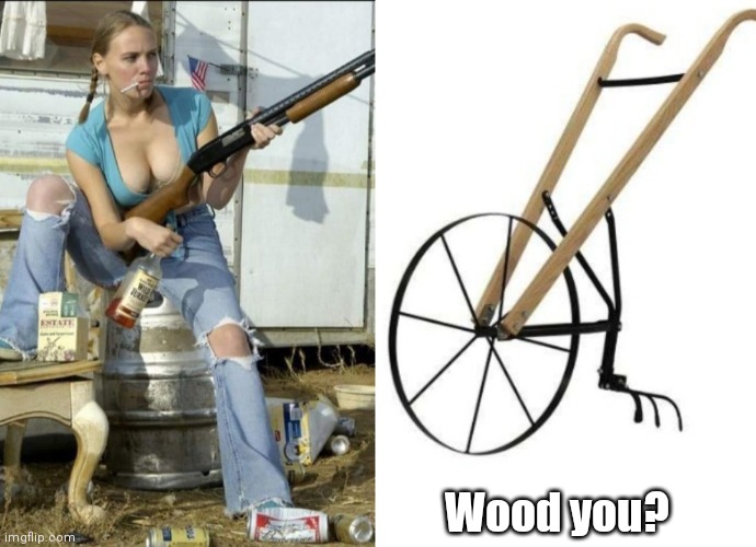 Wood Plow | Wood you? | image tagged in funny | made w/ Imgflip meme maker