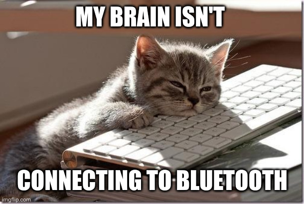 Brain not connecting to Bluetooth | MY BRAIN ISN'T; CONNECTING TO BLUETOOTH | image tagged in bored keyboard cat,bluetooth,memes,my brain,disconnect,cats | made w/ Imgflip meme maker