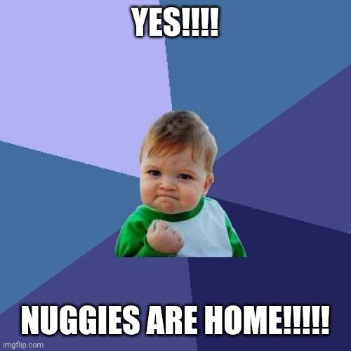 Success Kid | YES!!!! NUGGIES ARE HOME!!!!! | image tagged in memes,success kid | made w/ Imgflip meme maker
