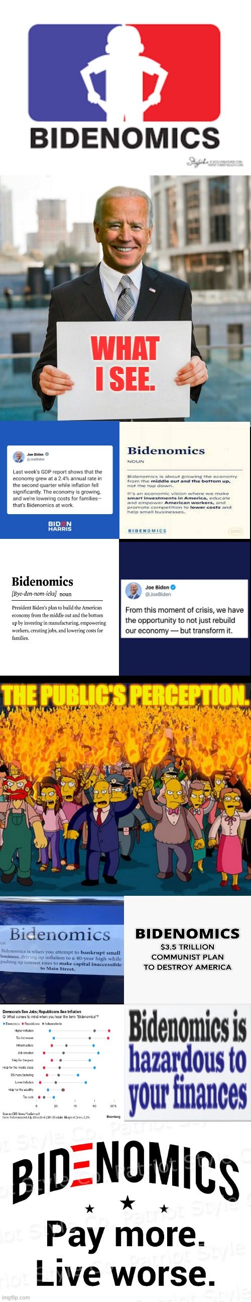 Let's Look At: | WHAT I SEE. THE PUBLIC'S PERCEPTION. | image tagged in memes,politics,joe biden,bidenomics,angry mob,opinions | made w/ Imgflip meme maker