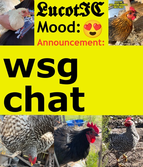 . | 😍; wsg
chat | image tagged in lucotic's cocks announcement template | made w/ Imgflip meme maker