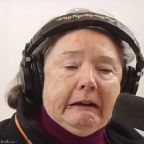 ellen mclain | image tagged in obese woman at computer,ellen mclain,tf2 heavy,sandvich,johns wife,robin | made w/ Imgflip meme maker