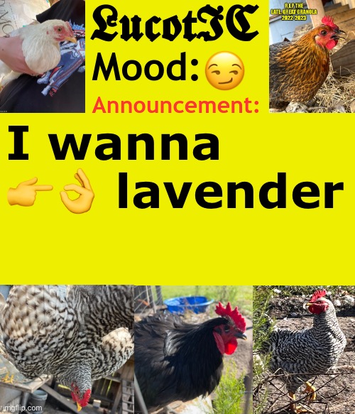 . | 😏; I wanna 👉👌 lavender | image tagged in lucotic's cocks announcement template | made w/ Imgflip meme maker