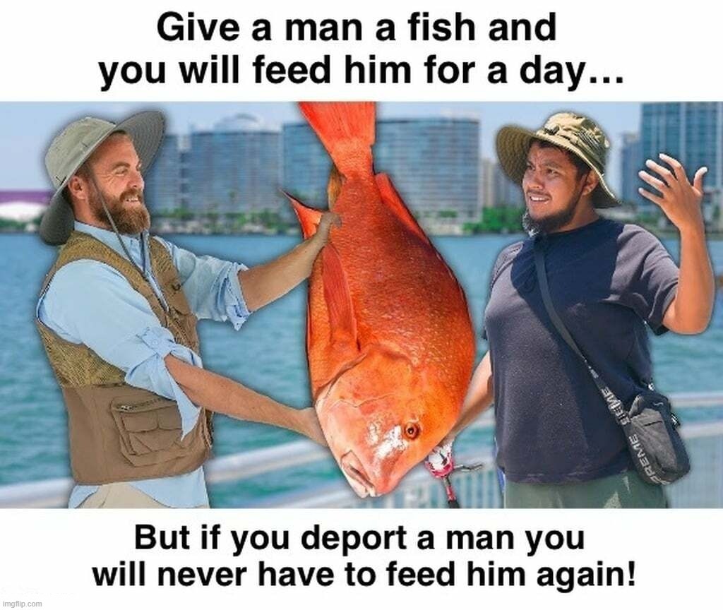 Stop feeding strays and they will go away... | image tagged in give a man a fish,deportation,stop feeding them and they will go away,illegal immigration | made w/ Imgflip meme maker