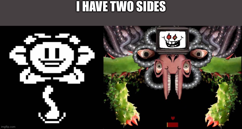 I HAVE TWO SIDES | image tagged in hi i'm flowey,omega flowey meme | made w/ Imgflip meme maker