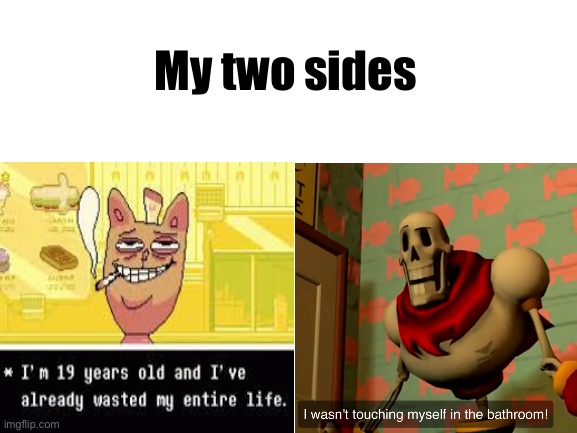 Blank White Template | My two sides | image tagged in blank white template | made w/ Imgflip meme maker