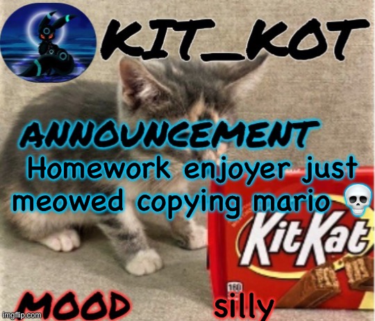 … | Homework enjoyer just meowed copying mario 💀; silly | made w/ Imgflip meme maker
