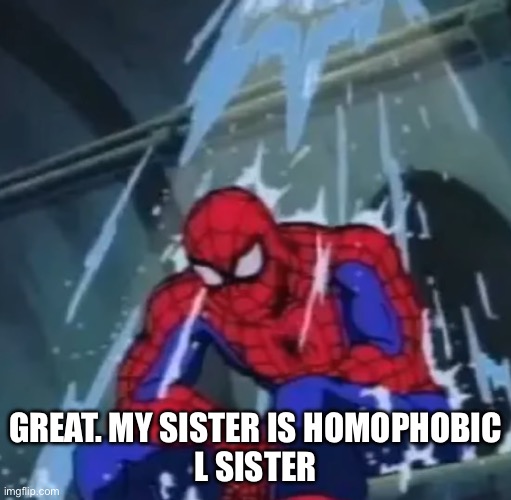 annoying and disappointing | GREAT. MY SISTER IS HOMOPHOBIC
L SISTER | made w/ Imgflip meme maker