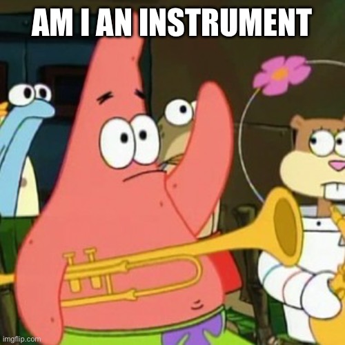 No Patrick Meme | AM I AN INSTRUMENT | image tagged in memes,no patrick | made w/ Imgflip meme maker